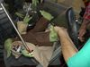 Robotica2008_062.JPG